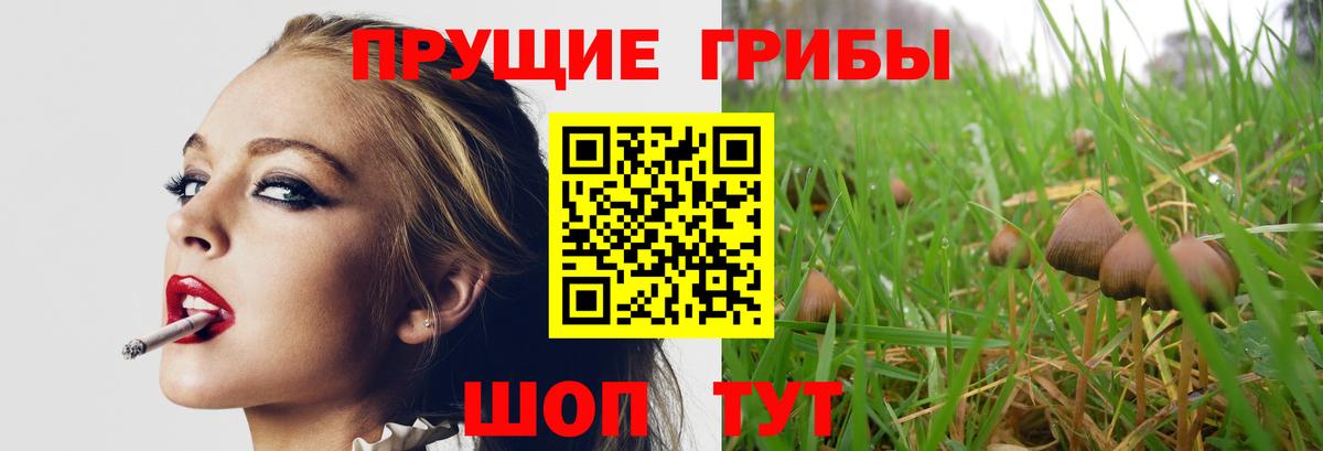 Псилоцибиновые грибы прущие грибы Арзамас